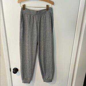 Uniqlo Gray Track Pants